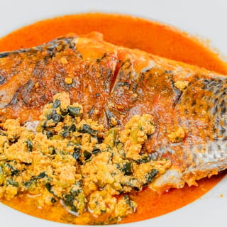 Tilapia